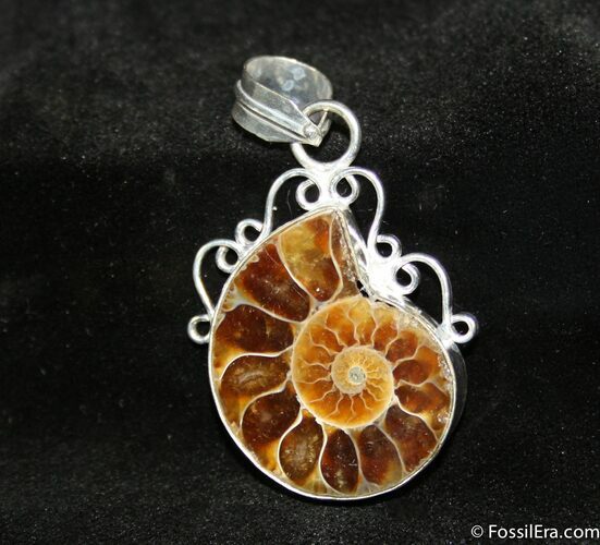 Ammonite Pendant #664